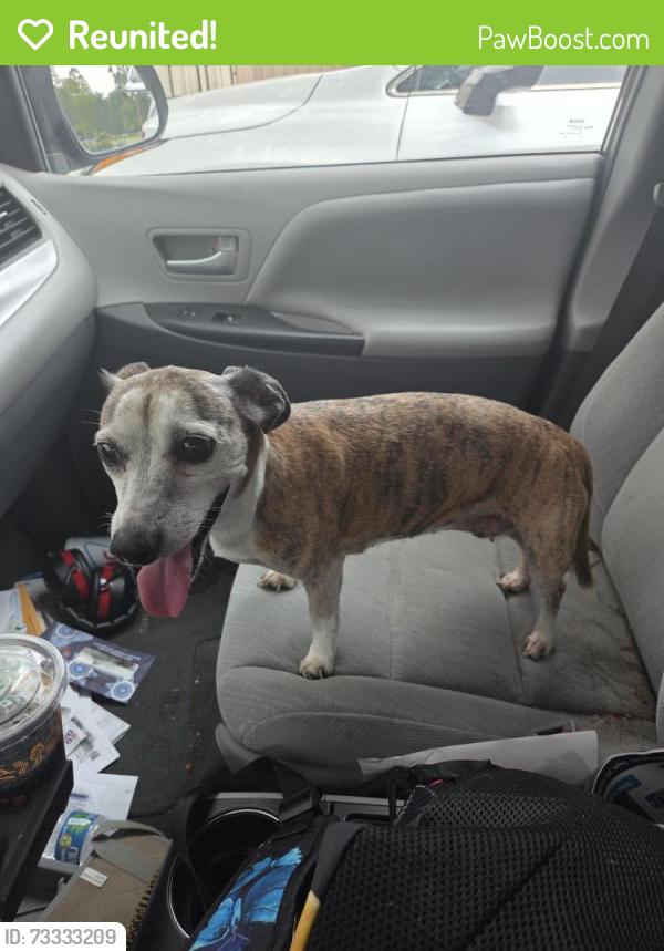 Reunited Female Dog last seen Golden Ray Dr in Mill Ridge North neighborhood, Cypress, TX 77429