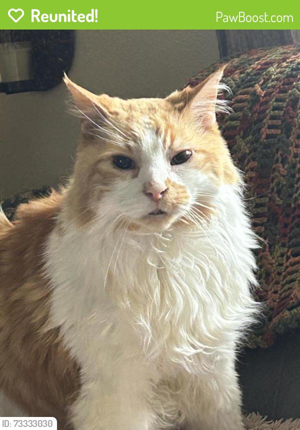 Reunited Male Cat last seen Des meurons, Winnipeg, MB R2M 0G5
