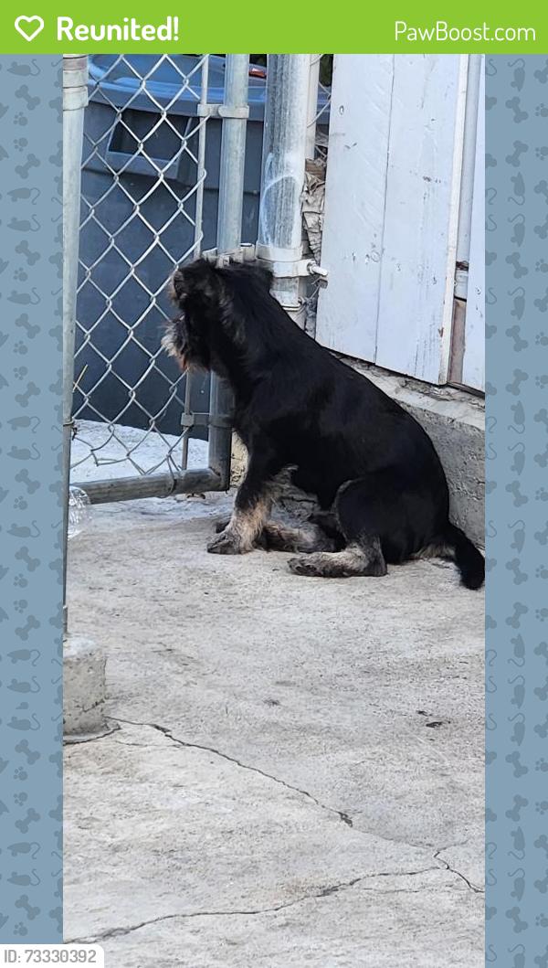 Reunited Male Dog last seen Oceanview Blvd San Diego ca, San Diego, CA 92121