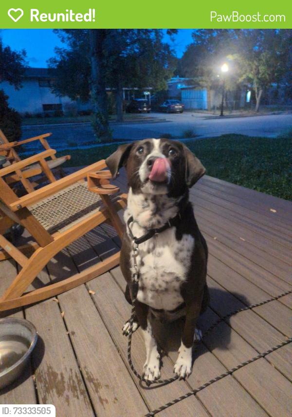 Reunited Male Dog last seen Dupont and Capistrano, Salt Lake City, UT 84116