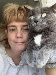 Lost Male Cat last seen Aspen Street and Miller Street, Danville, VA 24540