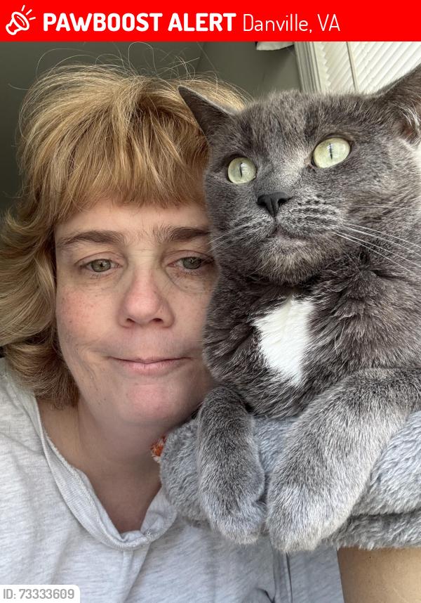 Lost Male Cat last seen Aspen Street and Miller Street, Danville, VA 24540