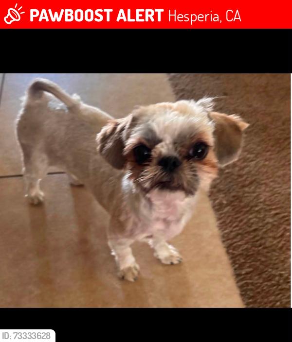 Lost Female Dog last seen Malibu Park-Between Malibu&Muscatel-Hesperia, Hesperia, CA 92340