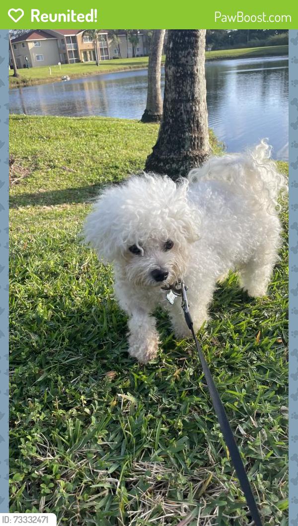 Reunited Male Dog last seen West gate, west palm beach, West Palm Beach, FL 33409