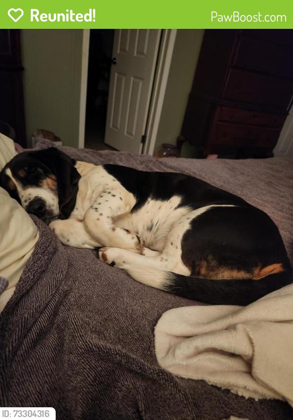 Reunited Female Dog last seen Anderson hwy/Capeway Rd, Powhatan, VA 23139