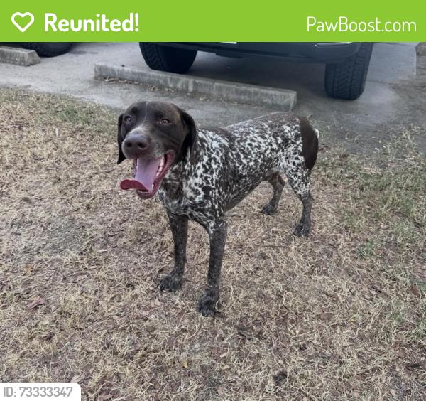 Reunited Unknown Dog last seen Roy G Guerrero Disc Golf Course, Austin, TX 78741