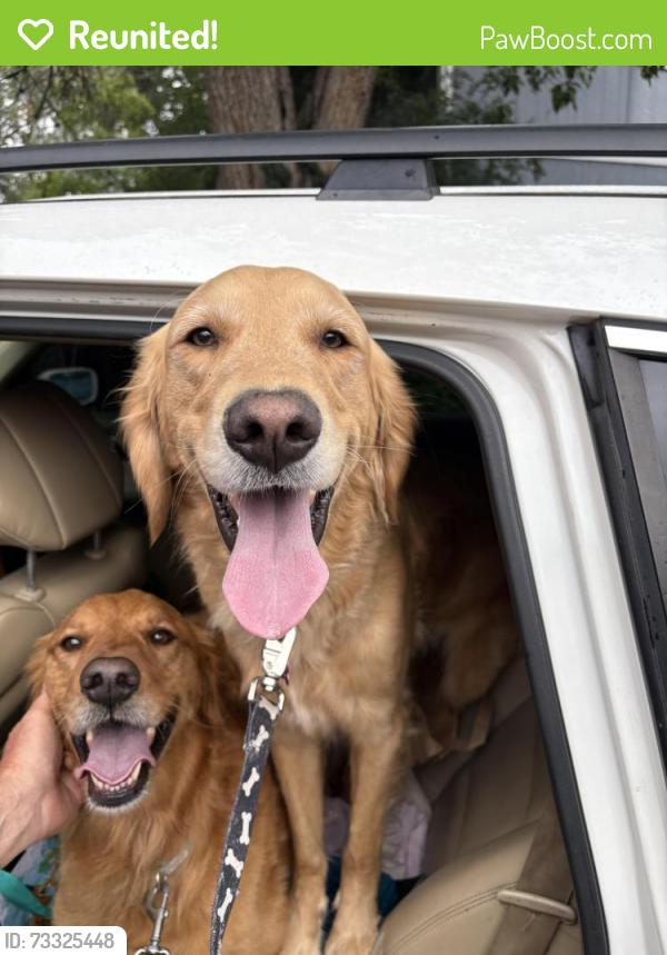 Reunited Male Dog last seen So Windemere and W Caley Avenue Littleton CO, Littleton, CO 80120