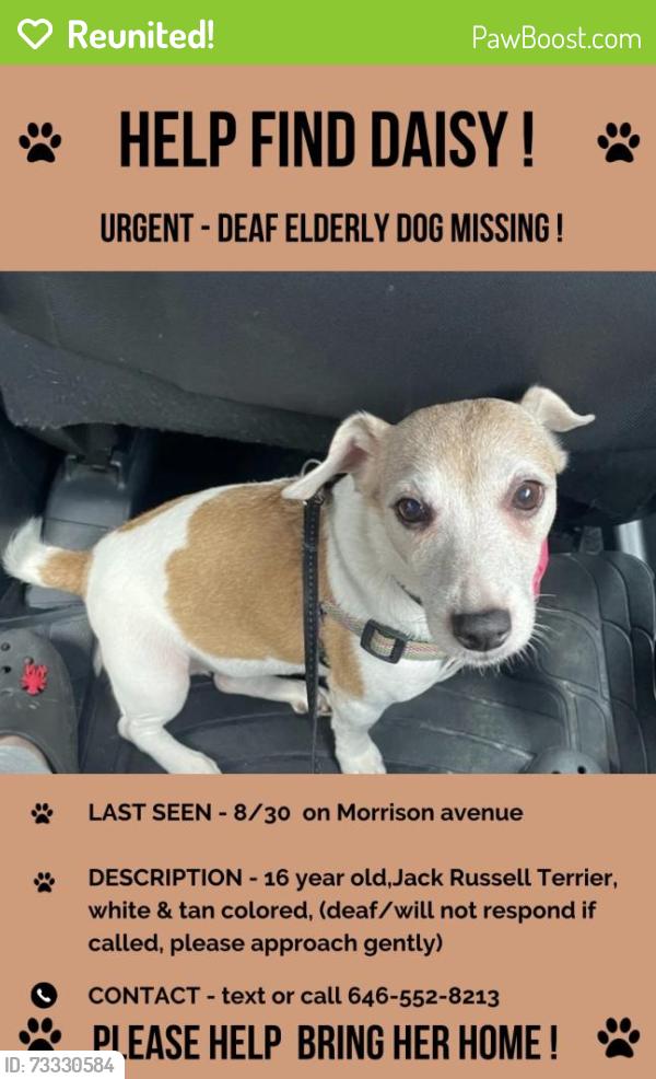 Reunited Female Dog last seen Westchester & watson avenue, The Bronx, NY 10472