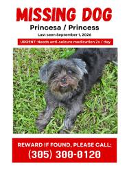 Reunited Female Dog last seen Near 157 ave and 40 st sw, Miami, FL 33185
