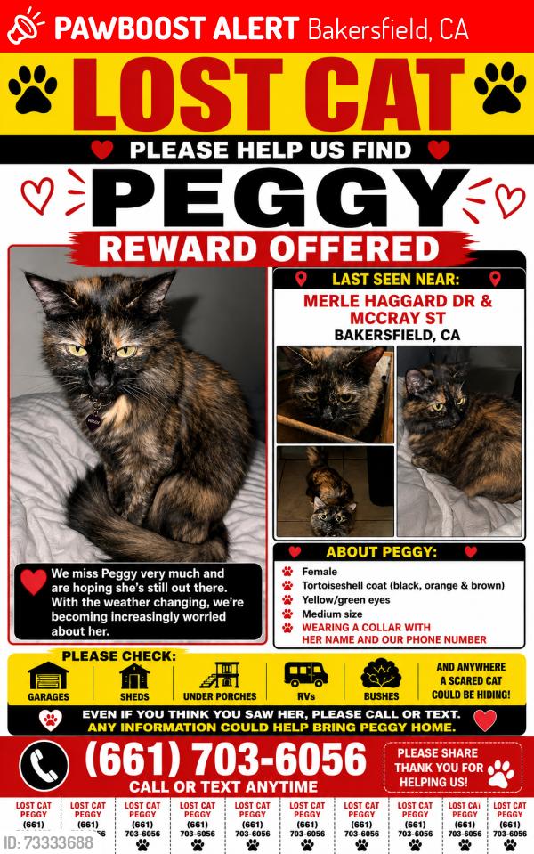Lost Female Cat last seen floral meadow drive and meadow springs lane, Bakersfield, CA 93308