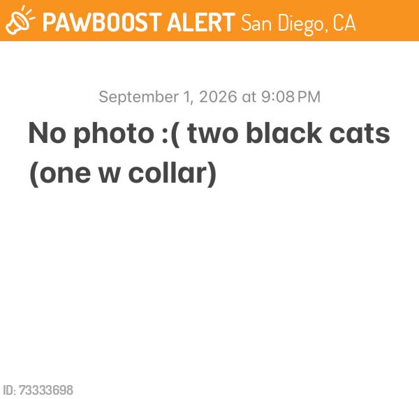 Found/Stray Unknown Cat last seen Jewell street & Oliver, around the church, San Diego, CA 92109