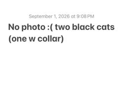 Found/Stray Unknown Cat last seen Jewell street & Oliver, around the church, San Diego, CA 92109