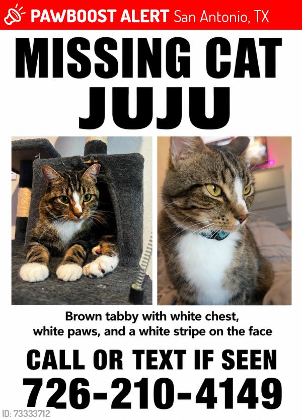 Lost Male Cat last seen Red river run. Riverstone community., San Antonio, TX 78253