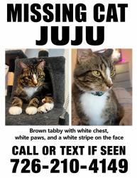Lost Male Cat last seen Red river run. Riverstone community., San Antonio, TX 78253