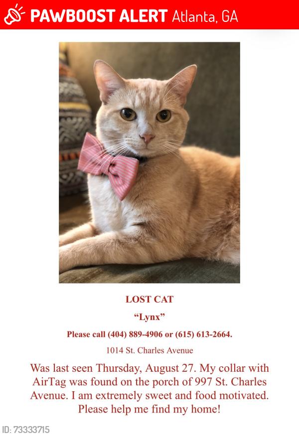 Lost Male Cat last seen N. Highland Ave, Atlanta, GA 30306