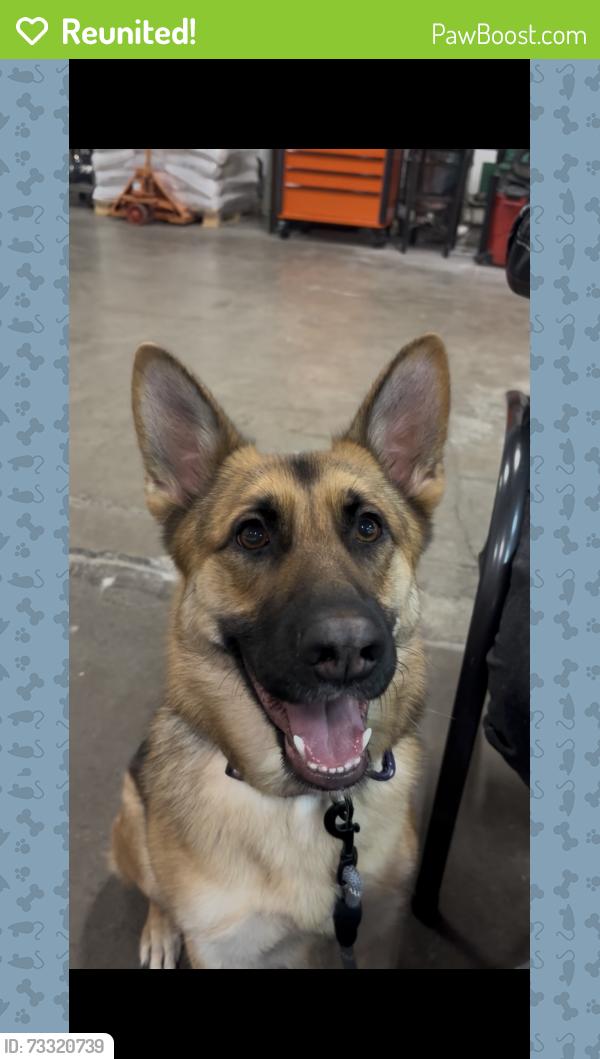 Reunited Female Dog last seen Baxter South salem, Salem, OR 97306