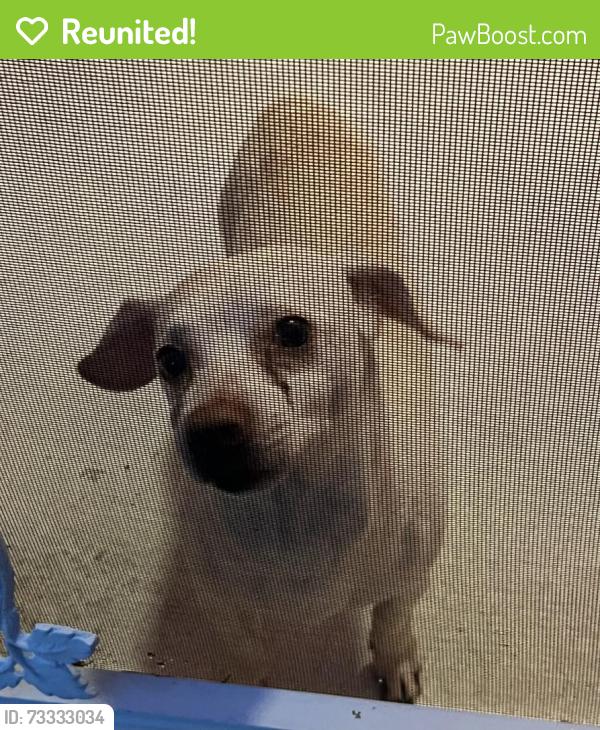 Reunited Male Dog last seen Cranberry and Sheboygan, North Port, FL 34286