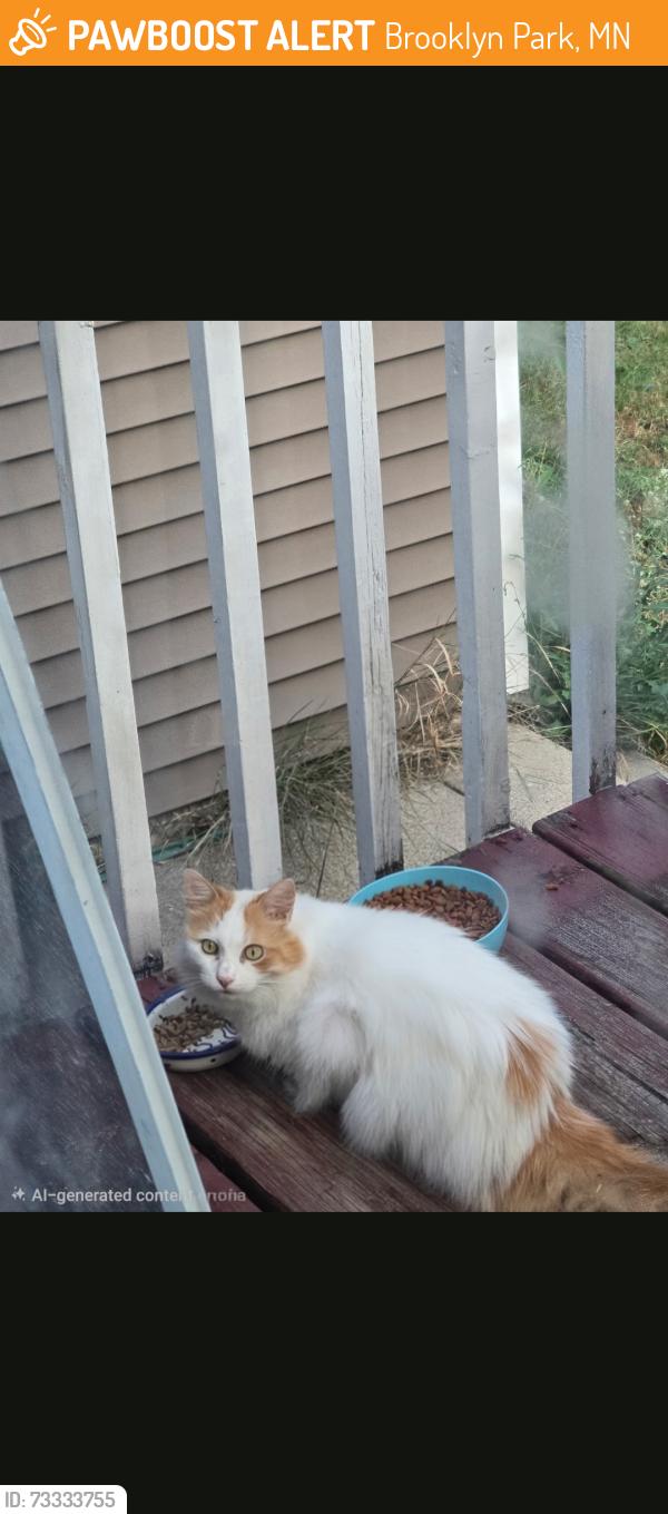Found/Stray Female Cat last seen Dupont Pearson Parkway, Brooklyn Park, MN 55444