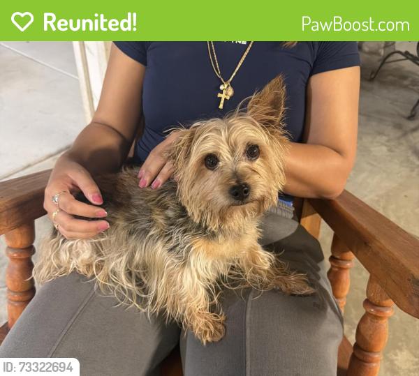 Reunited Male Dog last seen Ryder/Bradley, Perris, CA 92571