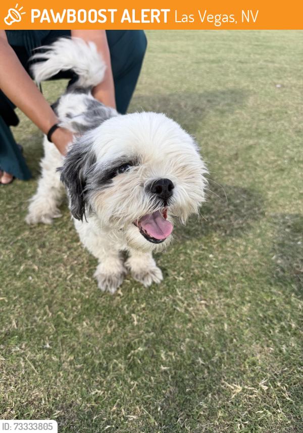 Found/Stray Male Dog last seen Valley view and Fulton, Las Vegas, NV 89107