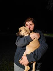 Reunited Female Dog last seen Brock, Toledo, OH 43623