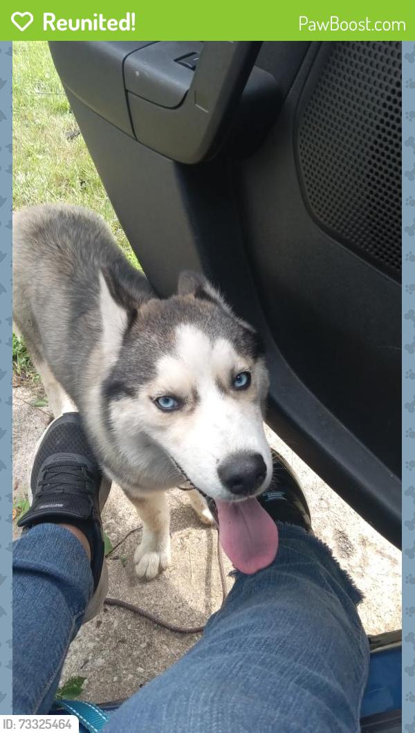 Reunited Female Dog last seen 175th and Woodmar near PNW, Hammond, IN 46323