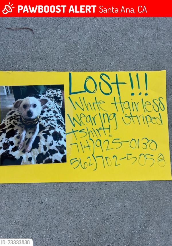 Lost Unknown Dog last seen Celeste St & Hazard Ave, Santa Ana, CA 92701