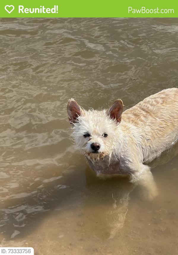 Reunited Male Dog last seen Weaver and South Fenton, Littleton, CO 80123