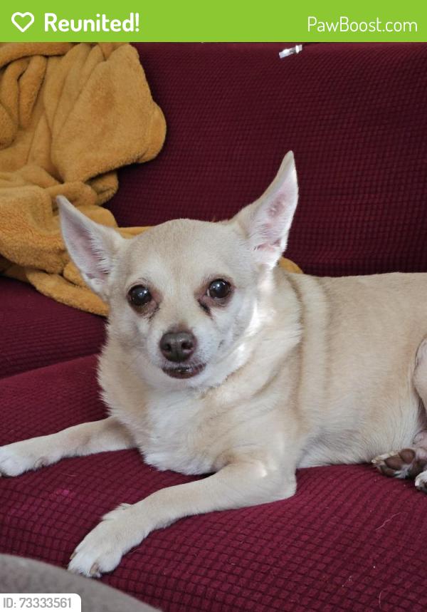 Reunited Male Dog last seen Highland & Catawba, Athens, GA 30606