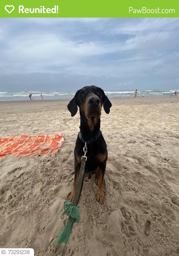 Reunited Male Dog last seen DRURY PLAZA HOTEL SAN ANTONIO RIVER WALK 105 S St Mary's St, San Antonio, TX 78205
