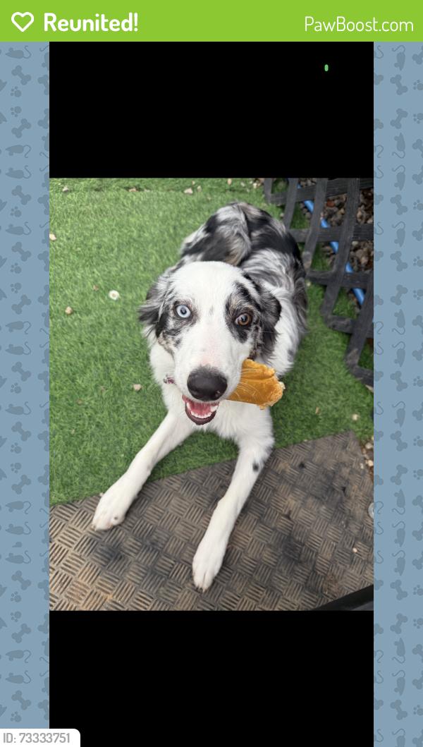 Reunited Female Dog last seen Big Reds Rv Park, El Reno, OK 73036