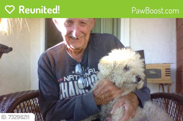 Reunited Male Dog last seen Mesa Grande and County Line Road, Yucaipa, CA 92399