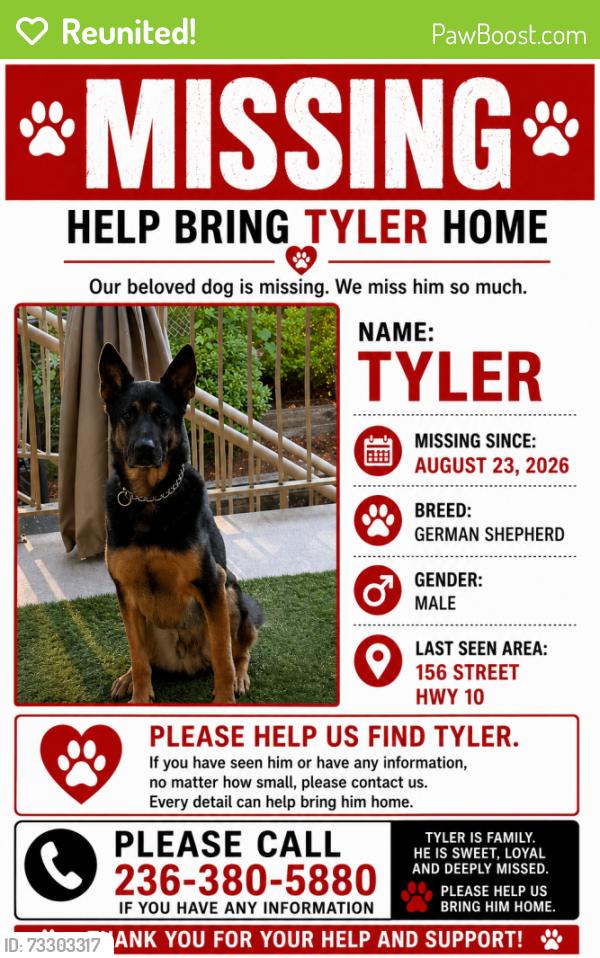 Reunited Male Dog last seen We are right on Corner of 156 street and Hwy 10, Surrey, BC 