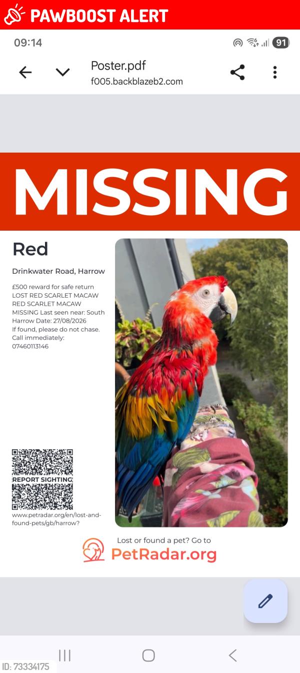 Lost Male Bird last seen Drinkwater Road, Harrow, Greater London, England 