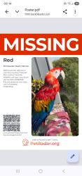 Lost Male Bird last seen Drinkwater Road, Harrow, Greater London, England 