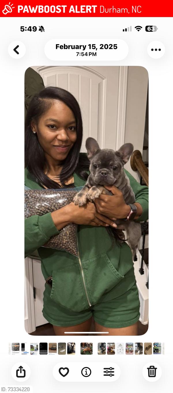 Lost Female Dog last seen Crowell st Durham mc, Durham, NC 27707
