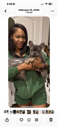 Lost Female Dog last seen Crowell st Durham mc, Durham, NC 27707