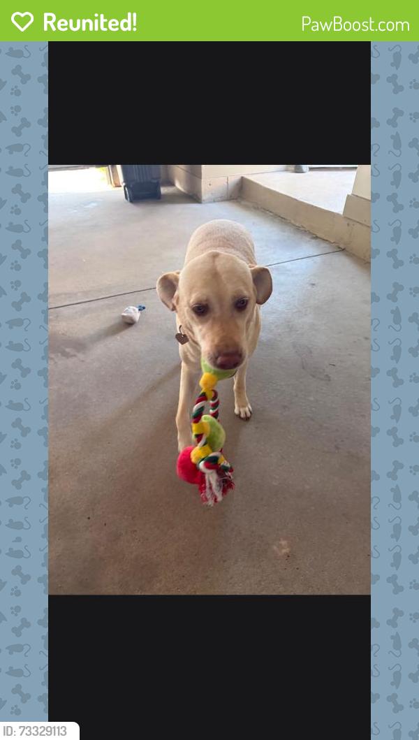 Reunited Male Dog last seen Covell and 4th Street, Grand Rapids, MI 49504