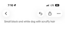 Reunited Unknown Dog last seen Prospect and Grace street, Newmarket, ON L3Y 2P9