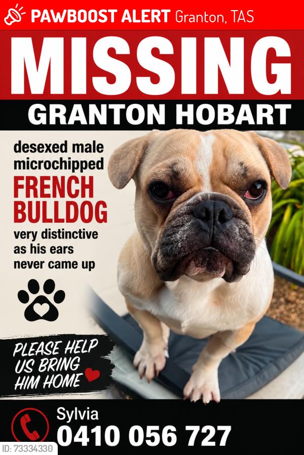 Lost Male Dog last seen Lyell Highway, Granton, TAS 7030