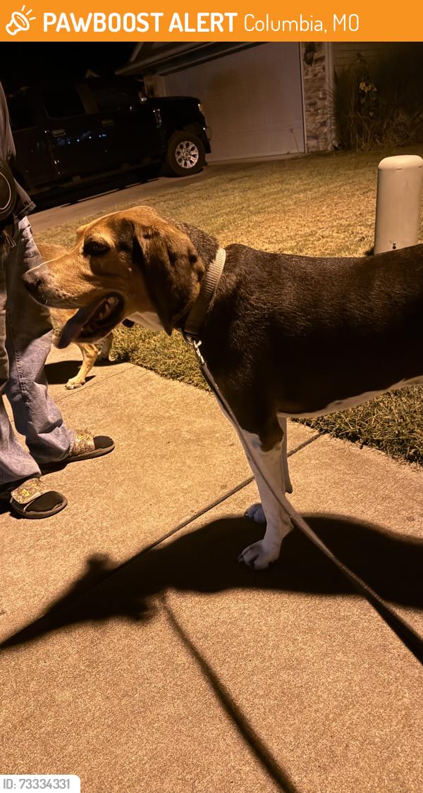 Found/Stray Male Dog last seen E Yosemite ave, Columbia, MO 65201