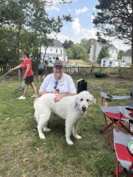 Reunited Female Dog last seen Chalk and oak grove, Wake Forest, NC 27857