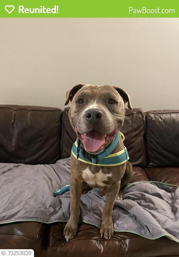 Reunited Male Dog last seen Broward and Dixie, Broward County, FL 33323