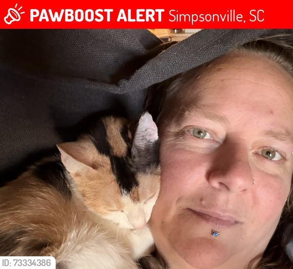 Lost Female Cat last seen Near Brason Dr., Lot 99 Simpsonville South Carolina, Simpsonville, SC 29681