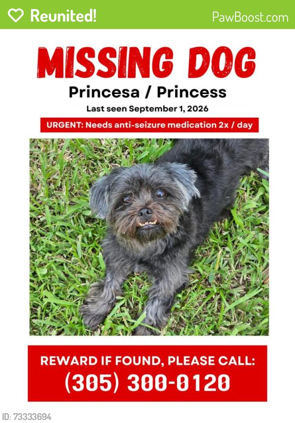 Reunited Female Dog last seen Near 157 ave and 40 st sw, Miami, FL 33185