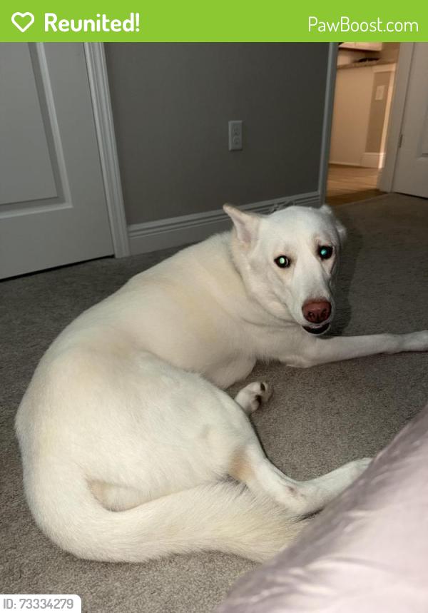 Reunited Male Dog last seen Lake Nona, Orlando, FL 32827
