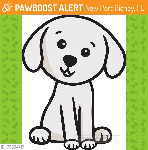 Found/Stray Female Dog last seen Tennessee Ave and Van Buren Street, New Port Richey, FL 34652