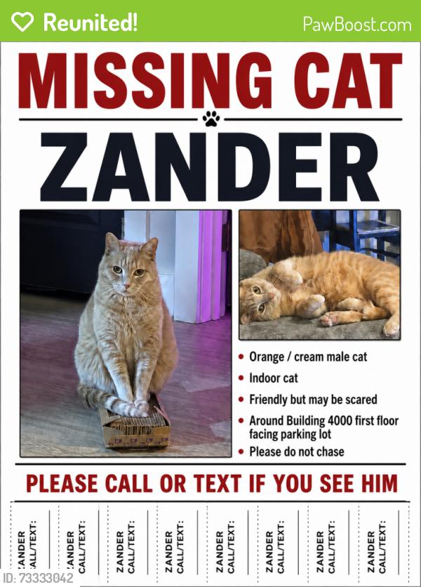 Reunited Male Cat last seen Victor Avenue & Eighth Street, Greer, SC 29651