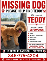 Lost Male Dog last seen Firetower rd & Tommy smith rd, Montgomery County, TX 77306