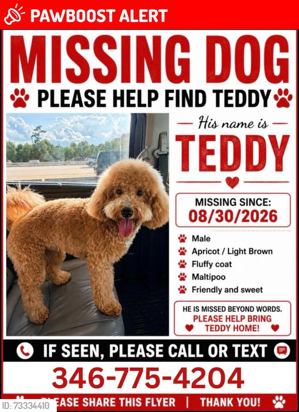 Lost Male Dog last seen Firetower rd & Tommy smith rd, Montgomery County, TX 77306